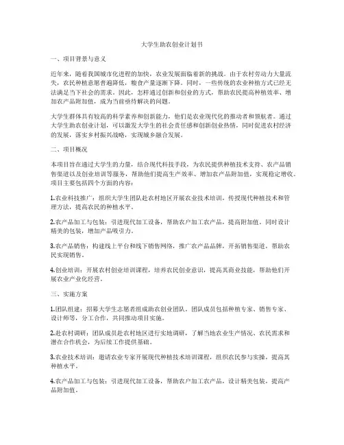 大学生助农创业计划书
