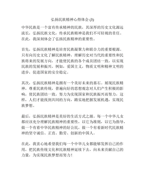 弘扬民族精神心得体会 (3)