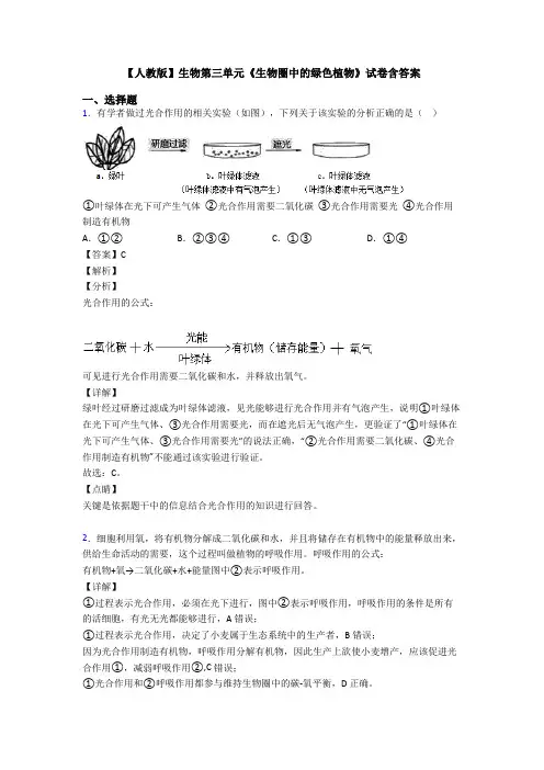 【人教版】生物第三单元《生物圈中的绿色植物》试卷含答案
