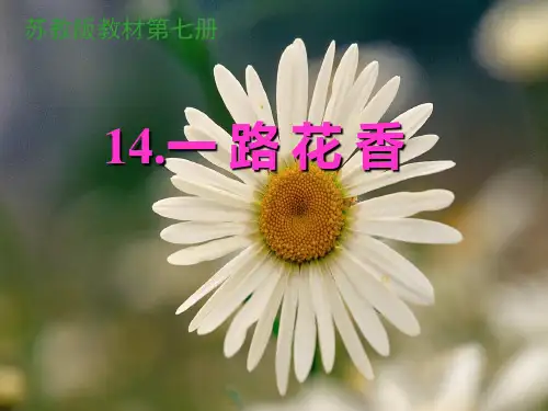 四年级上册语文课件-15 一路花香｜苏教版 (共15张PPT)