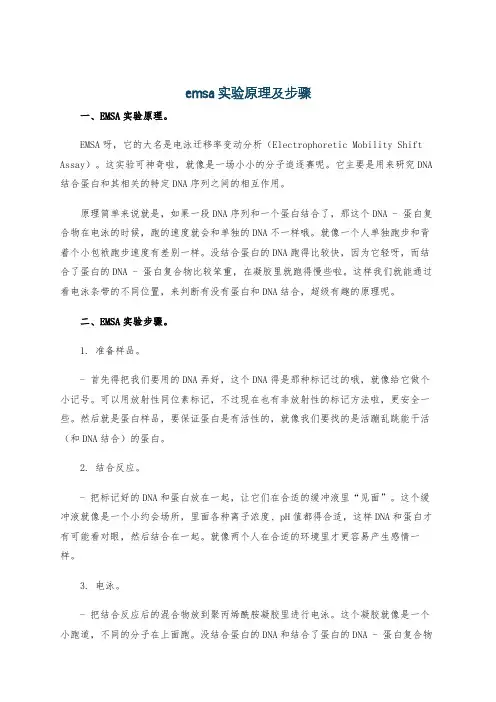 emsa实验原理及步骤