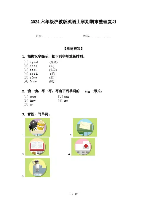 2024六年级沪教版英语上学期期末整理复习