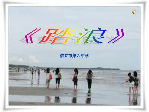 踏浪课件