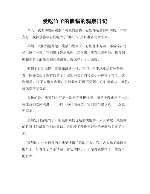 小学三年级作文爱吃竹子的熊猫的观察日记