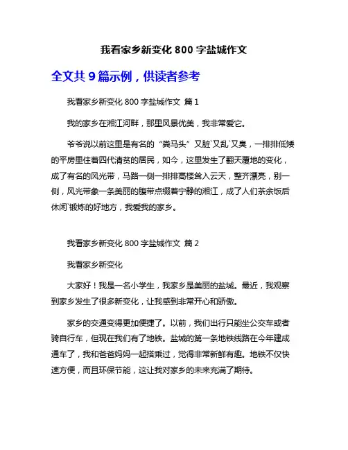 我看家乡新变化800字盐城作文
