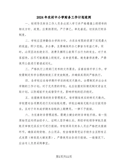 2024年农村中小学财务工作计划范例（五篇）