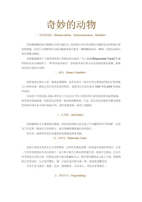 奇妙的动物