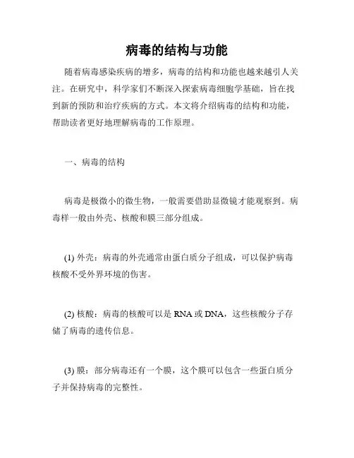 病毒的结构与功能
