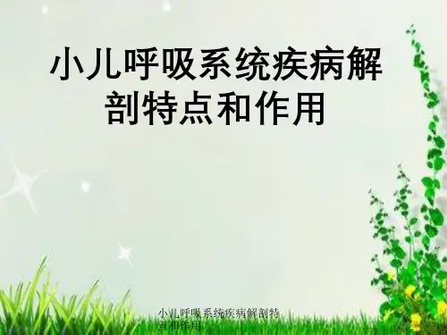 小儿呼吸系统疾病解剖特点及作用
