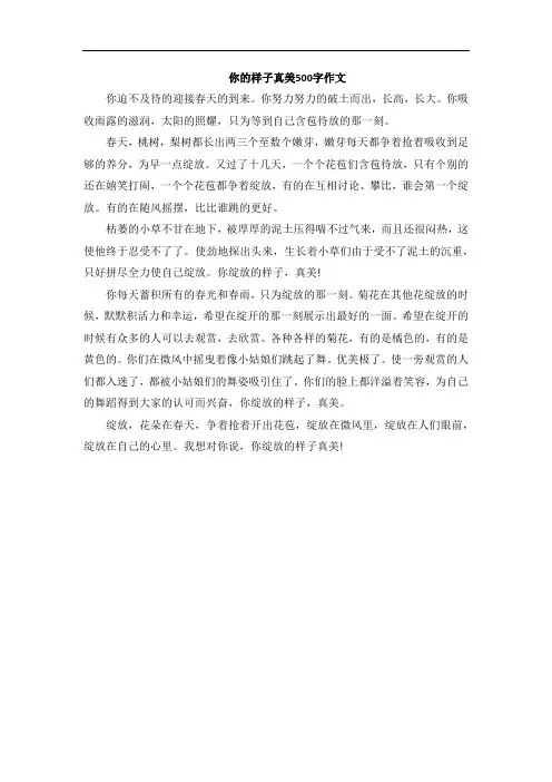 你的样子真美500字作文