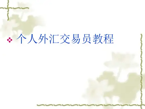 《外汇交易员初级入门教程》详解课件
