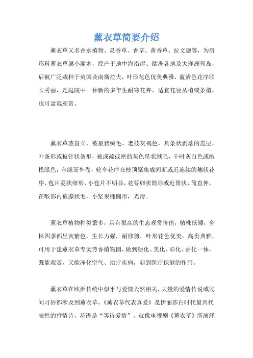 薰衣草简要介绍