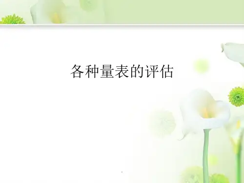 各种量表的评估医学PPT