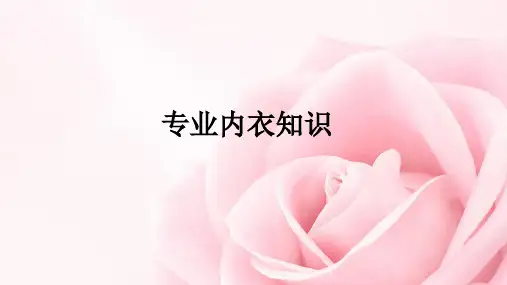 专业内衣知识 ppt课件