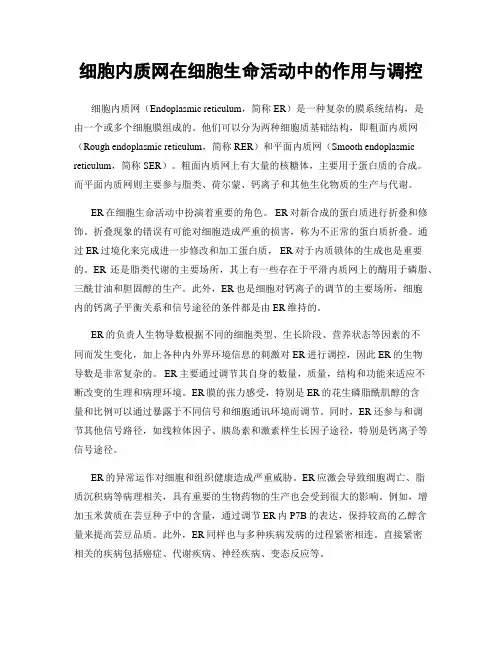 细胞内质网在细胞生命活动中的作用与调控