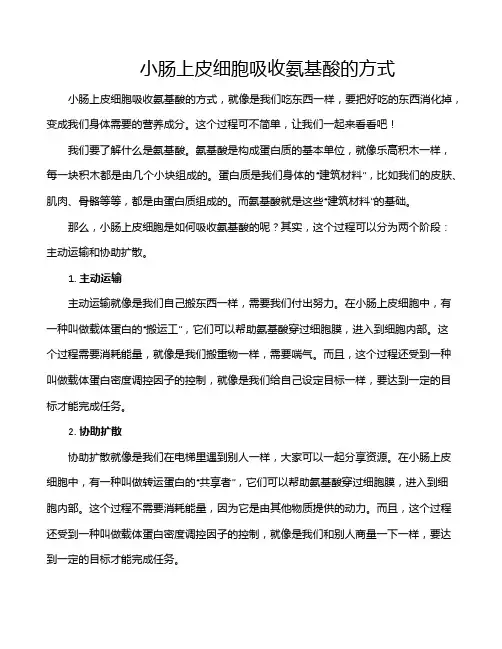 小肠上皮细胞吸收氨基酸的方式