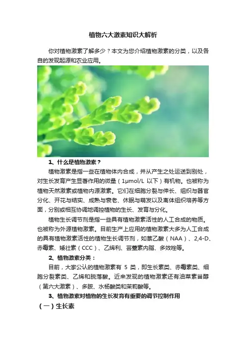 植物六大激素知识大解析