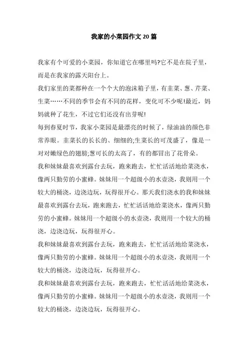 我家的小菜园作文20篇