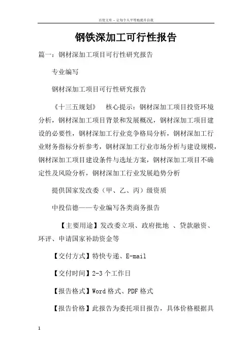 钢铁深加工可行性报告