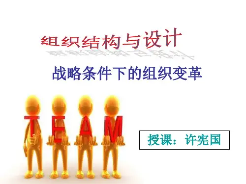 3战略条件下的组织变革精品PPT课件