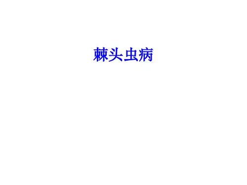棘头虫病
