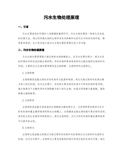 污水生物处理原理