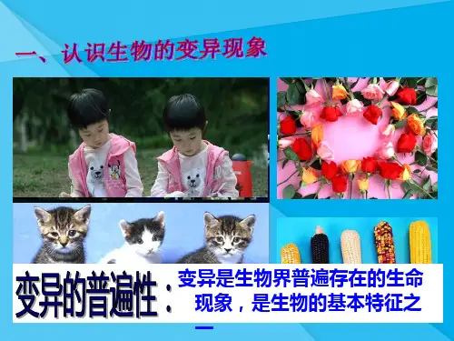 生物的变异51人教版优秀课件