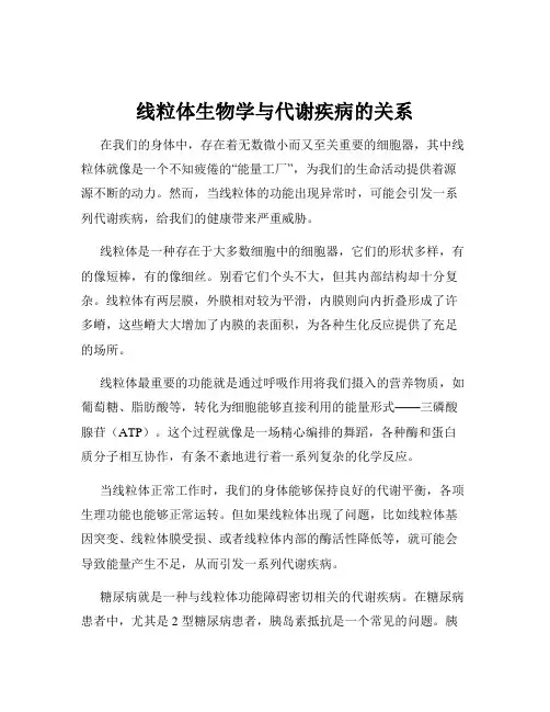 线粒体生物学与代谢疾病的关系