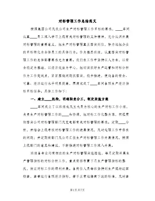 对标管理工作总结范文（2篇）