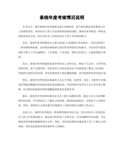 条线年度考核情况说明