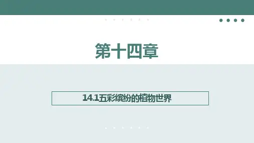 5.14.1五彩缤纷的植物世界课件(共18张PPT) 苏教版生物八年级上册