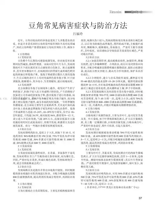 豆角常见病害症状与防治方法