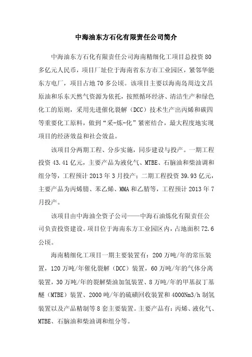 中海油东方石化的项目简介