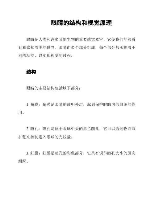 眼睛的结构和视觉原理