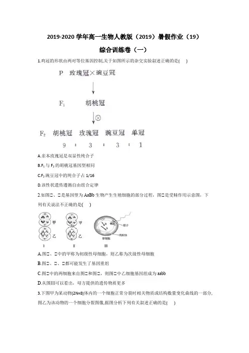 2019-2020学年高一生物人教版暑假作业(19)综合训练卷(一)
