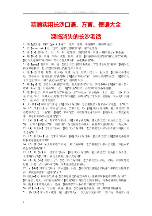 精编实用长沙口语方言俚语大全 