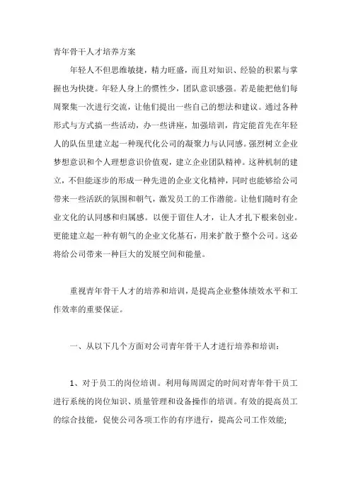 青年骨干人才培养方案【三篇】