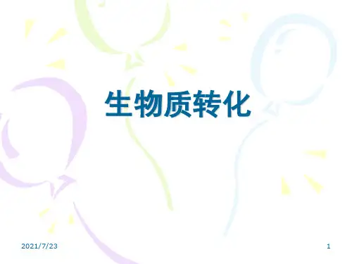 生物质转化PPT课件