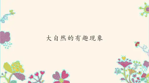 大自然的有趣现象_PPT课件