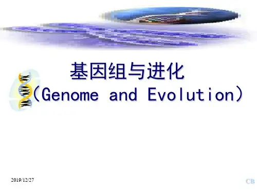 基因组与进化