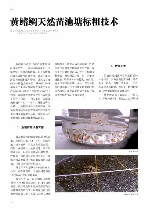 黄鳍鲷天然苗池塘标粗技术
