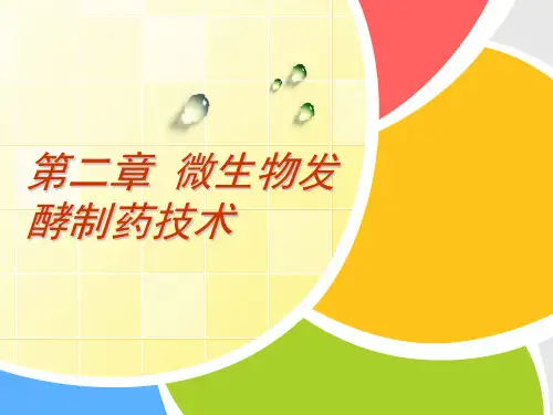 第二章 微生物发酵制药技术