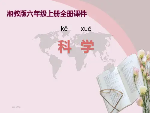 湘教版六年级上册科学全册课件【新教材】