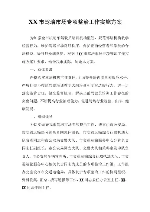 XX市驾培市场专项整治工作实施方案