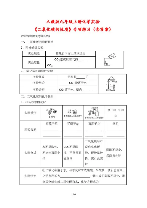 人教版九年级上册化学实验《二氧化碳的性质》专项练习(含答案)
