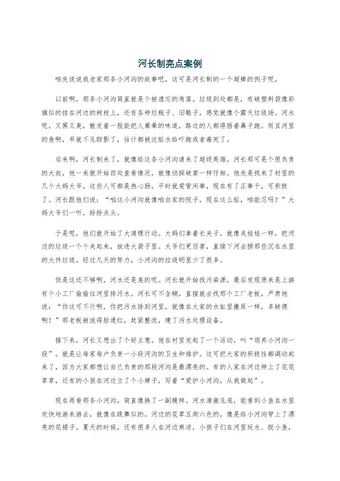河长制亮点案例