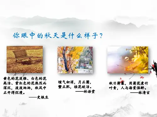 《故都的秋》ppt课件