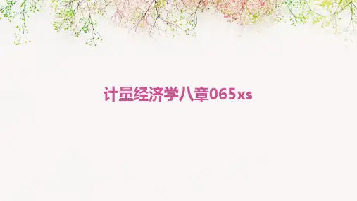计量经济学八章06.5(XS)