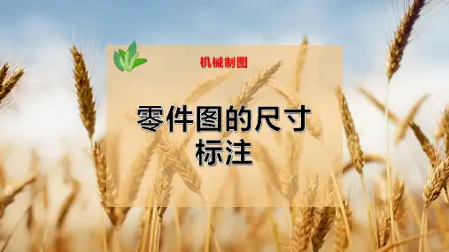 35-零件图的尺寸标注PPT模板
