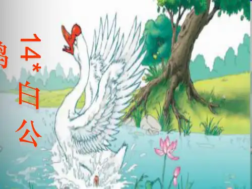 四年级上册14《白公鹅》1精-完整ppt课件
